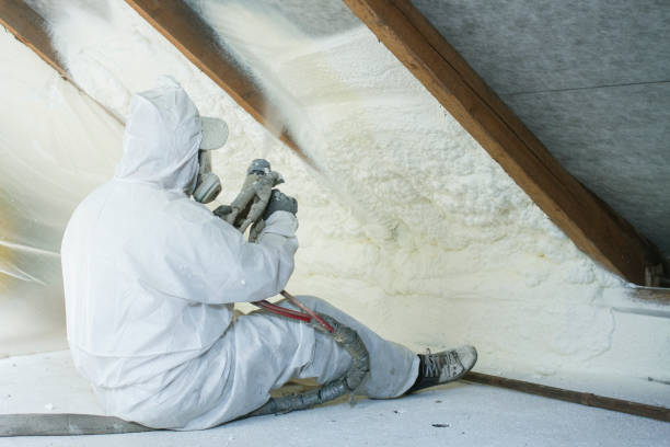 Best Attic Insulation Installation  in Cadiz, KY