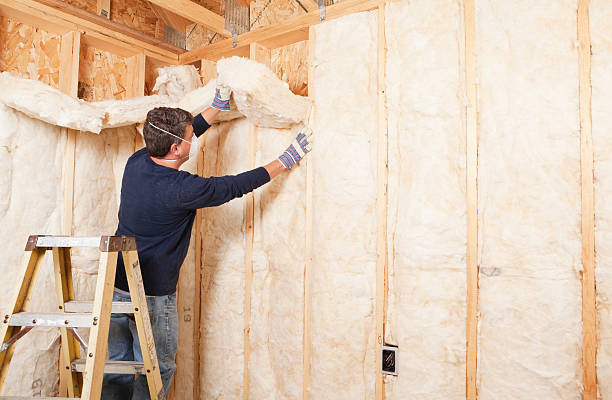 Best Reflective Insulation  in Cadiz, KY