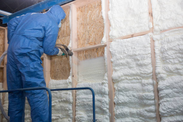 Best Crawl Space Insulation  in Cadiz, KY